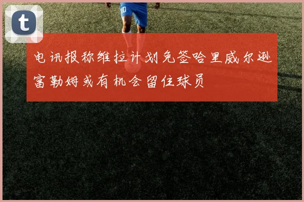 电讯报称维拉计划免签哈里威尔逊富勒姆或有机会留住球员